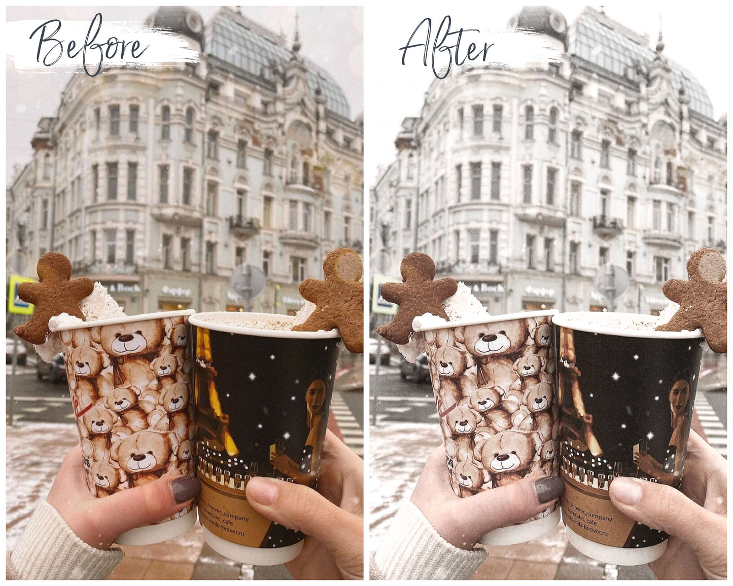 Ashy Pearl Lightroom Presets